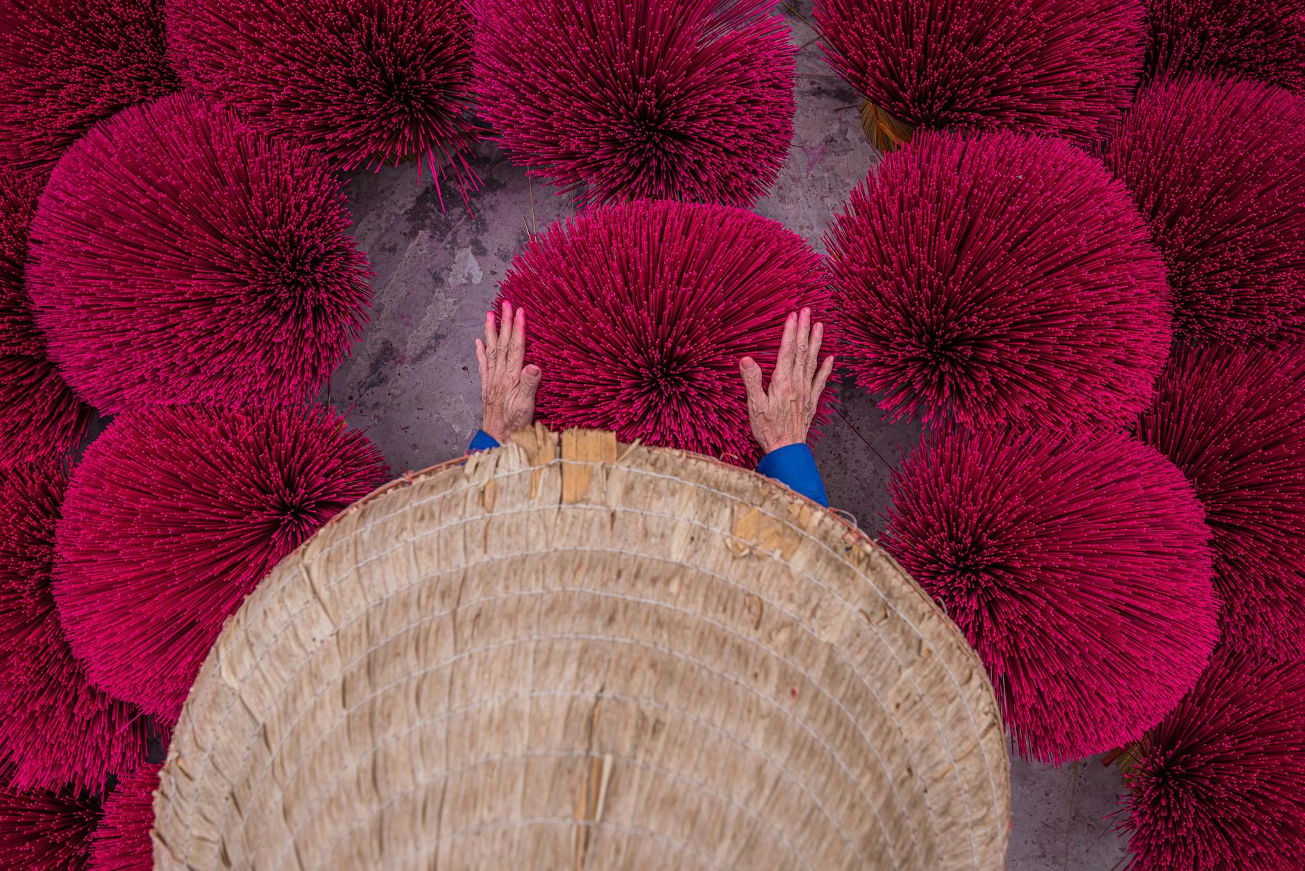 왜 특정 전문대 및 학과가 유리할까요?